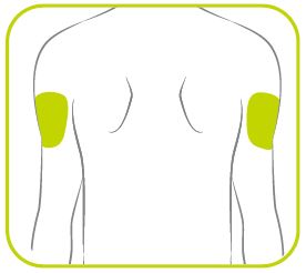 tresibaicon1